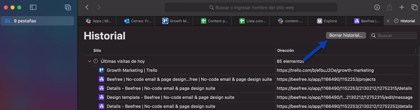 Borrar historial safari 2.jpg