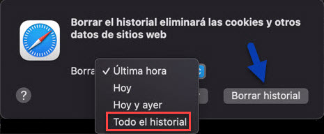 Borrar historial Safari.jpg