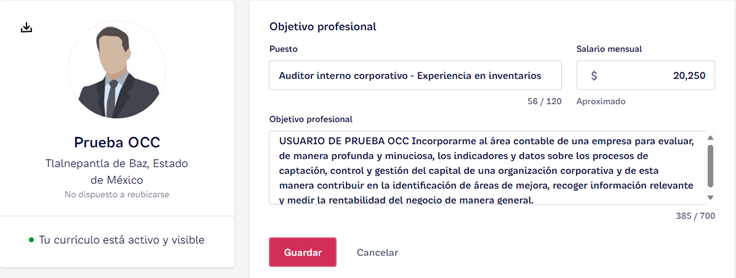 puesto cv1.png